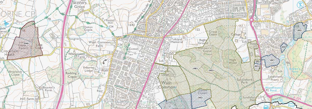 Wash Common Briefing on Planning