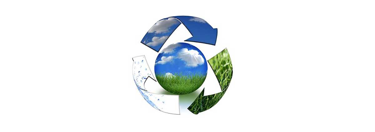 Environmental Strategy Feedback